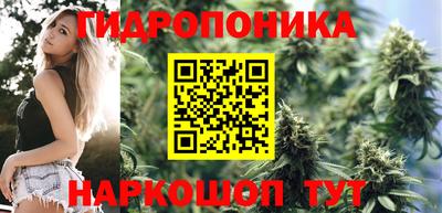 крисы Татарск