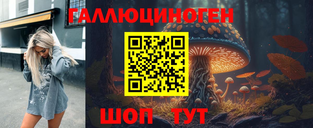 Ачхой-Мартан  Псилоцибиновые грибы Magic Shrooms  Псилоцибиновые грибы Psilocybe  Вход с VPN 