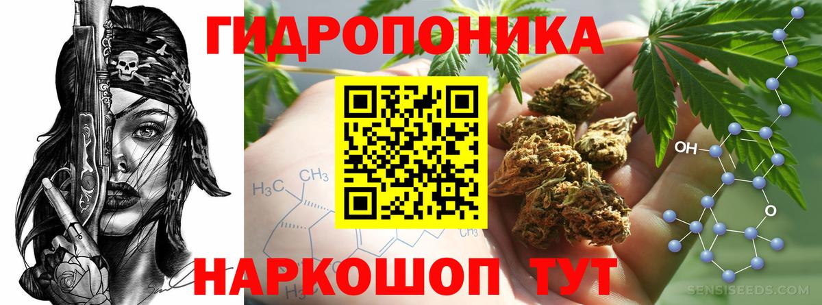 Шишки марихуана сатива Ачхой-Мартан