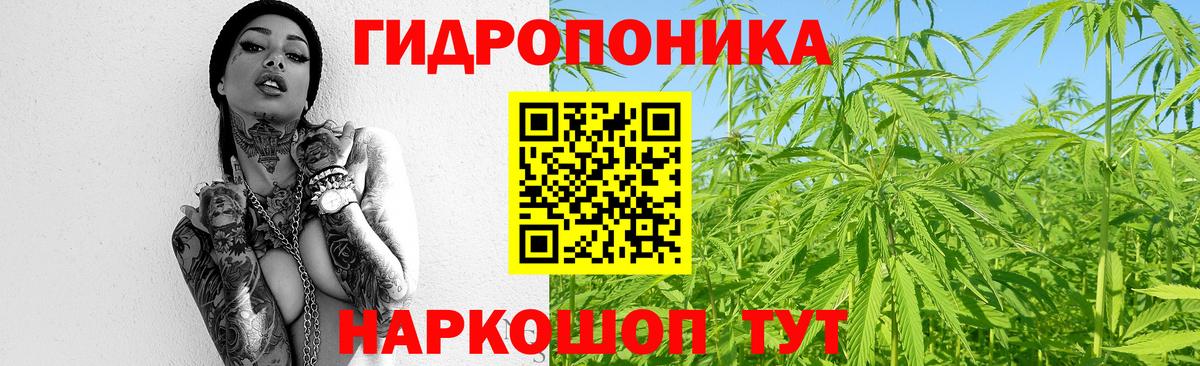 Канабис марихуана  Каннабис конопля  Ачхой-Мартан  Марихуана MAZAR  МАРИХУАНА Bruce Banner  Вход с VPN 